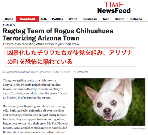 動物の命についてどう思いますか?
