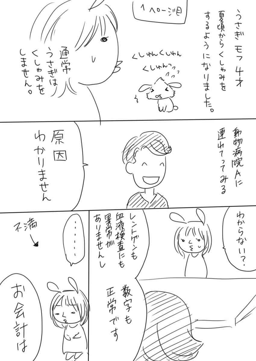 漫画で分かる「動物病院の選び方は絶対に間違えてはいけないという話」