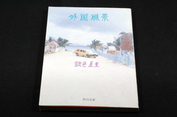 銀色夏生さんについてどう思いますか？