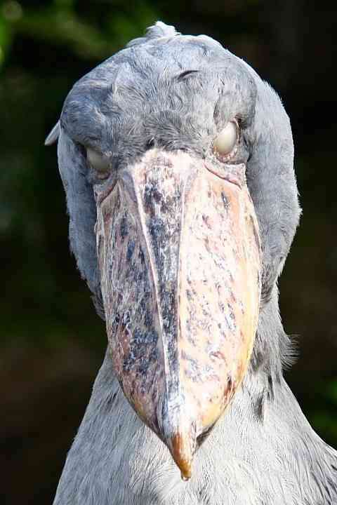 どうしたら充実感を味わえますか？