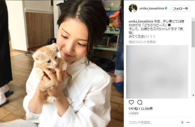 川島海荷の子猫になりたい！　インスタ公開写真に「いいね」1万超