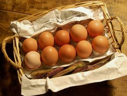 皆で材料を持ち集めて、今日の3時のおやつを作ろ〜