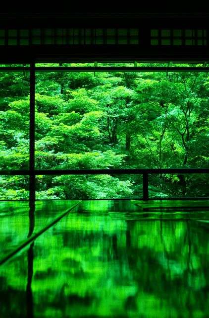 緑色で癒されよう