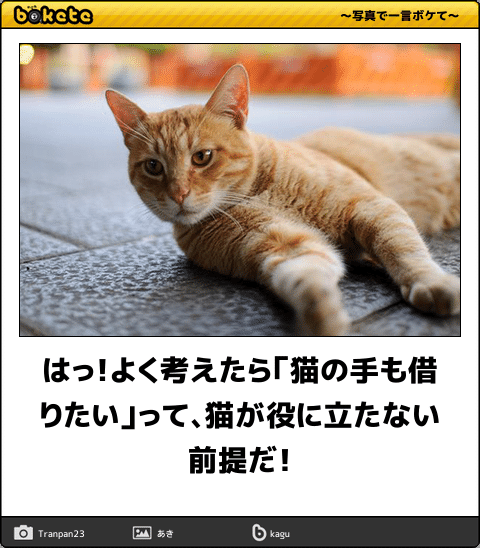 【雑談トピ】スギちゃんみたいに喋る秋【Part16】