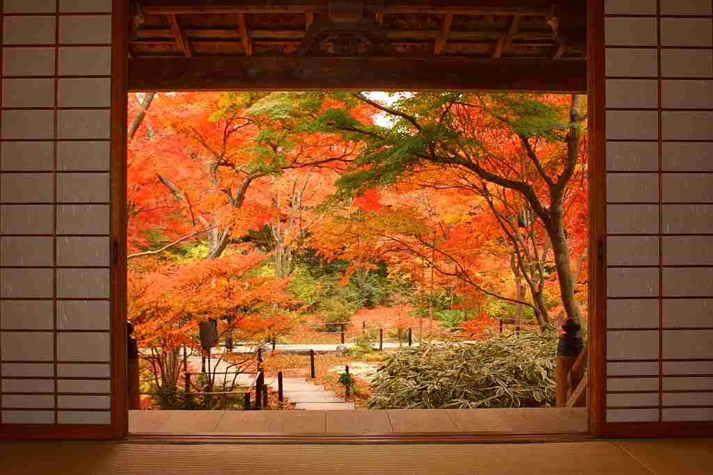 日本庭園に癒されるトピ