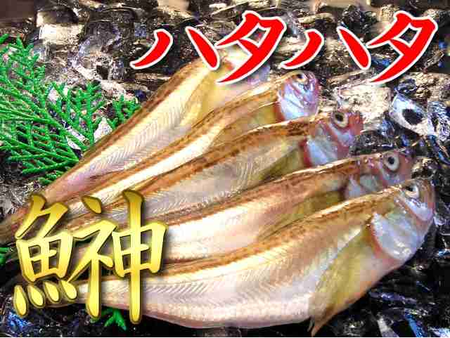 アラハタ(17～23歳)で好きな若手男性芸能人