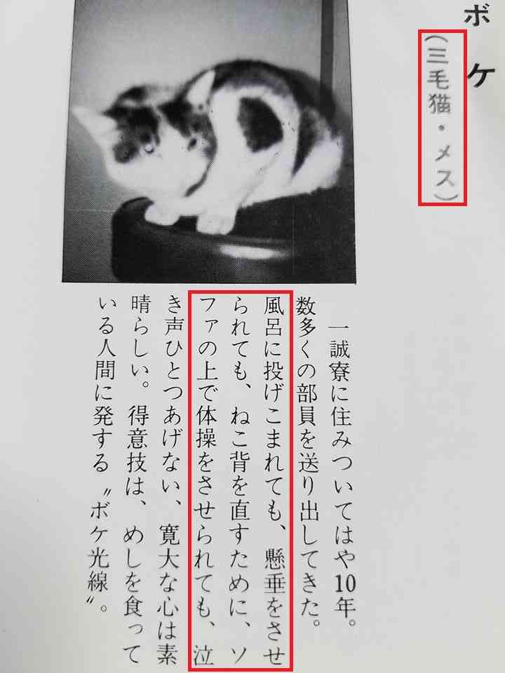 最速 生き物苦手板 ひどい