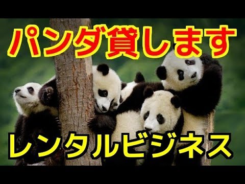 勝間和代氏 上野動物園のパンダ報道に本音「1ミリも(興味)ない」