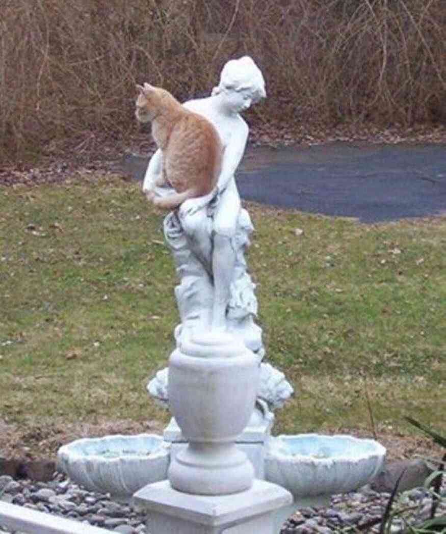 こんなところに猫が!って画像を貼っていくトピ
