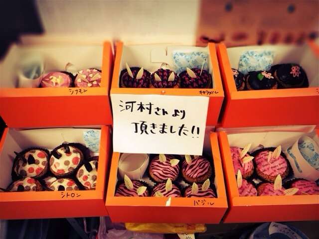 芸能人の差し入れがみたい!!