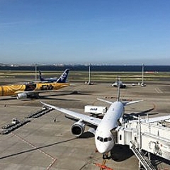 羽田空港で乗客から預かったプードル、滑走路に逃げ出す　14便に遅れ　