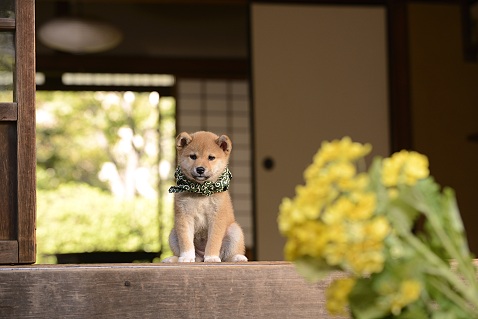 叩きトピに疲れた方～part5～