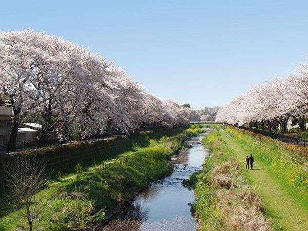 東京の画像を貼るトピ