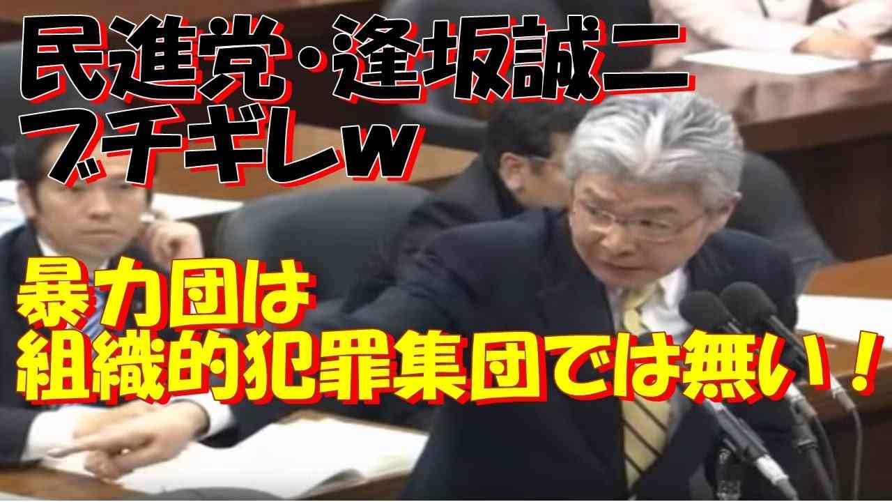 民進党「暴力団が即組織的犯罪集団になるとは思っておりません！」→金田大臣「組織的犯罪集団だろｗ」と逢坂誠二のブーメラン発言が一瞬でフルボッコ論破されるｗｗｗ - YouTube