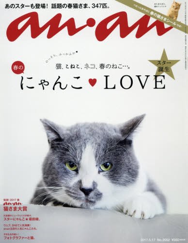 ananの表紙を貼るトピ