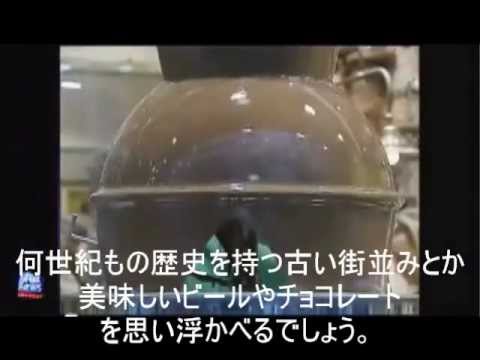 やがてベルギー人のいなくなる町　ベルギーの首都ブリュッセル - YouTube