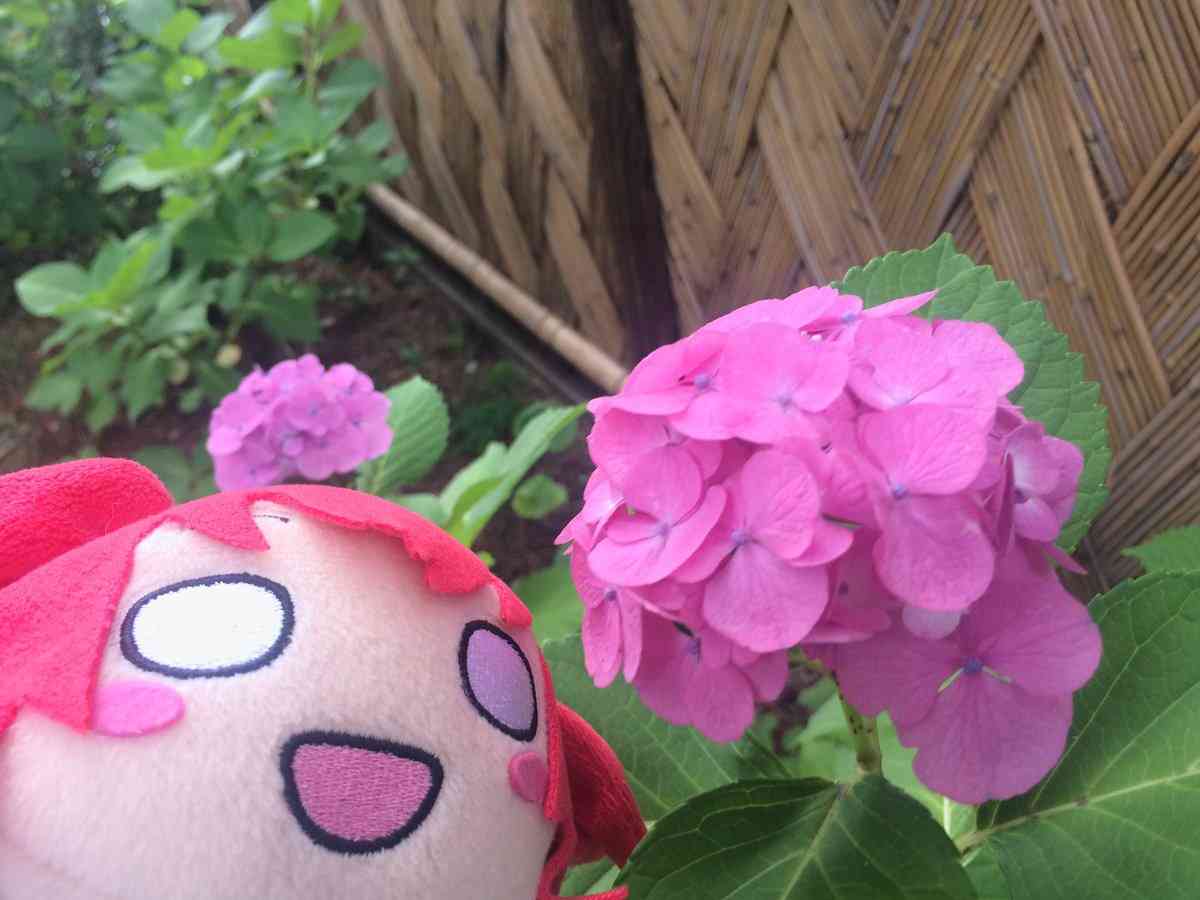 勝手なこと言うなー！と叫ぶトピ