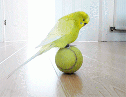 玉の輿に乗るには!!