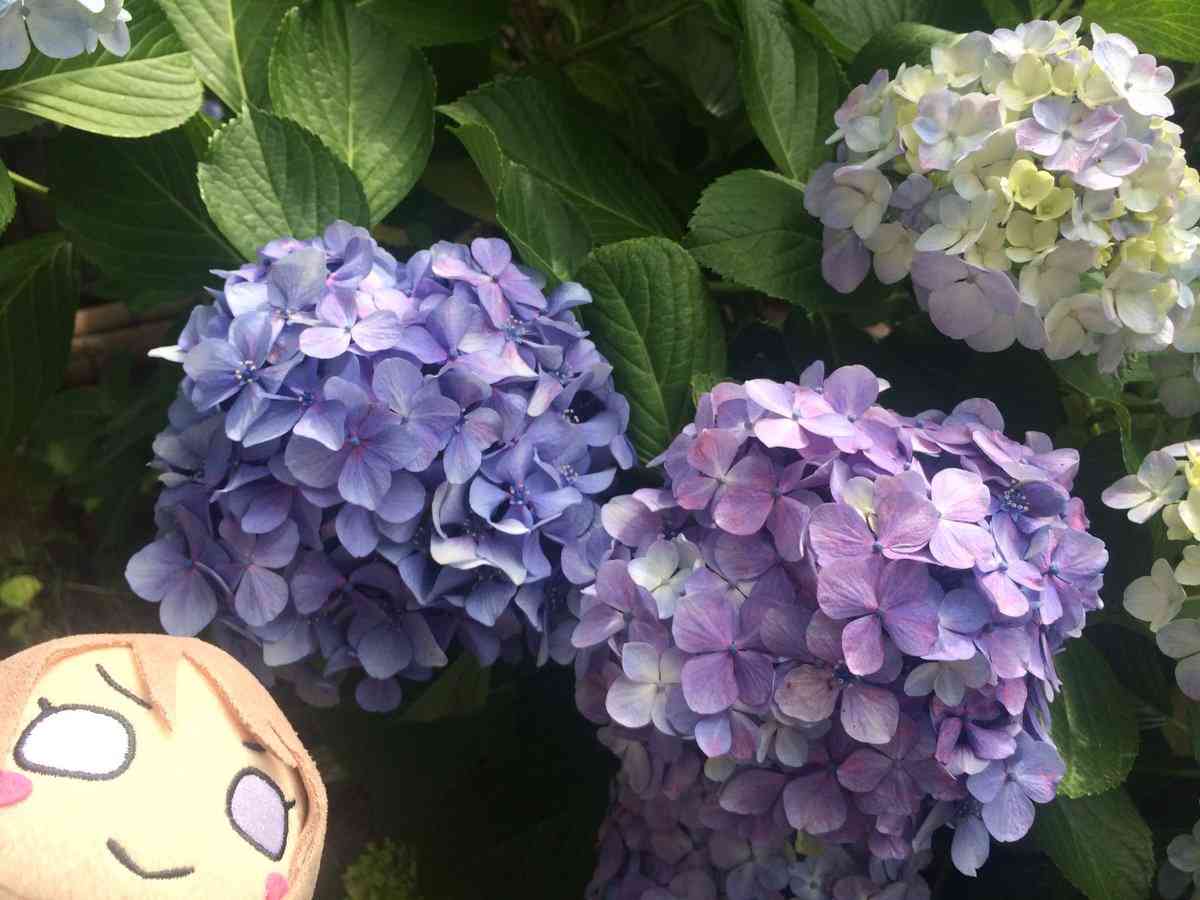 勝手なこと言うなー！と叫ぶトピ