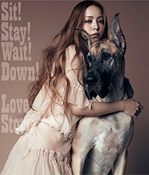 安室奈美恵が5大ドーム＆アジア公演開催、セットリストはファン投票で　ベストアルバム収録曲も公開