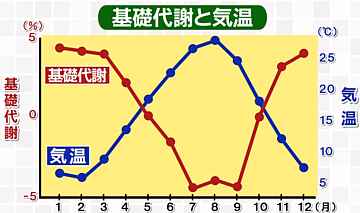 冬に健康的に痩せるには?