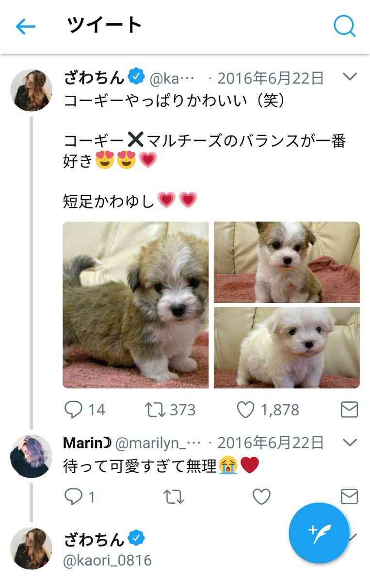 出雲大社で星条旗、ひめゆりの塔で「気持ちよくない」……“常識外れ”ざわちんの危険度