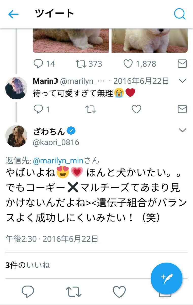 出雲大社で星条旗、ひめゆりの塔で「気持ちよくない」……“常識外れ”ざわちんの危険度