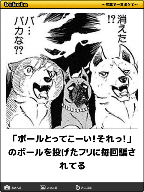 犬の散歩の時間