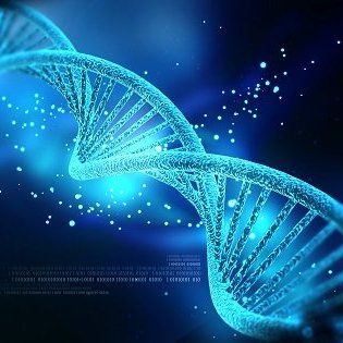 RNA の服好きな人