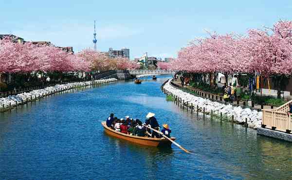東京23区内で一人暮らしにお勧めの場所