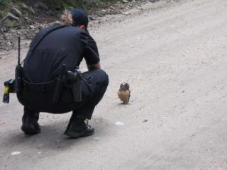 動物同士が会話してるように見える画像