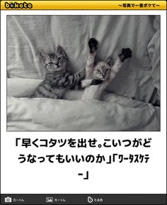 【part.17】ハロウィンスギちゃんだぜぇ～