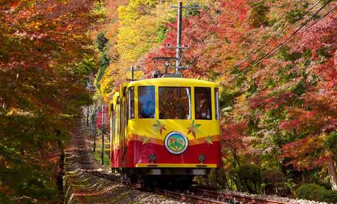 東京の画像を貼るトピ