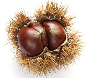 また今年もクリぼっちの予感