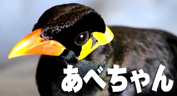 この苗字にはこのアダ名
