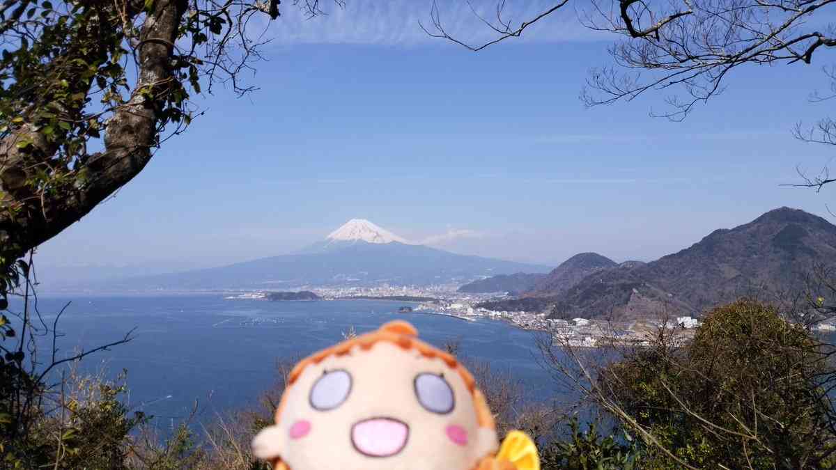 勝手なこと言うなー！と叫ぶトピ