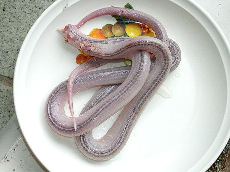 【閲覧注意】男性襲った巨大ニシキヘビ、住民たちに食べられる