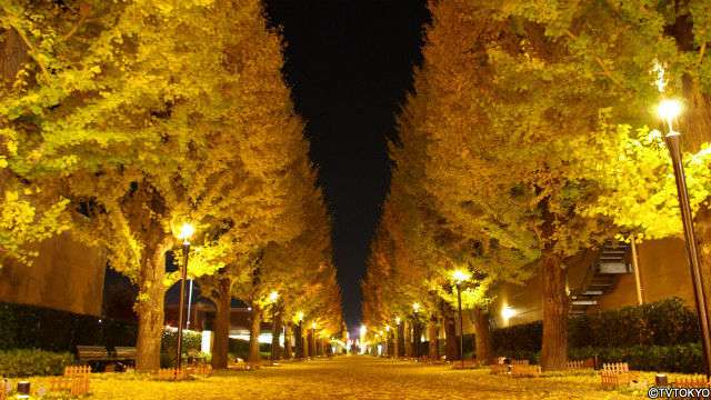 東京の画像を貼るトピ