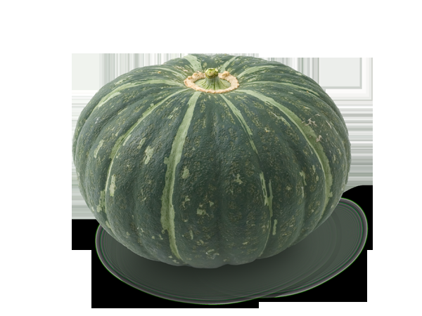 ハロウィンパーティーしてる？