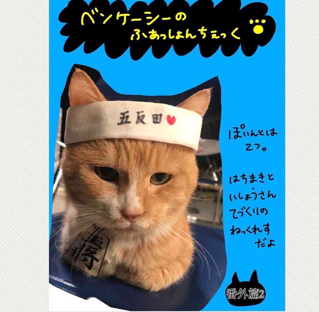 『ドクターX』第6話20.7% 2週連続3度目の大台で絶好調