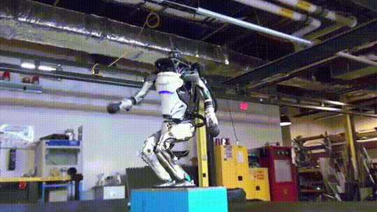 未来生活20XX年。どんなロボットが欲しいですか？