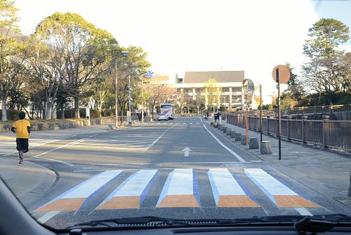 アイスランドに現れた、「車に速度を落とさせる横断歩道」の秘密とは…?