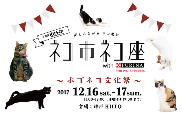 関西最大級の猫祭り開催!保護猫を助けて殺処分ゼロを目指す