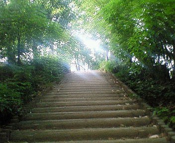 美しい日本語と写真を楽しむトピ