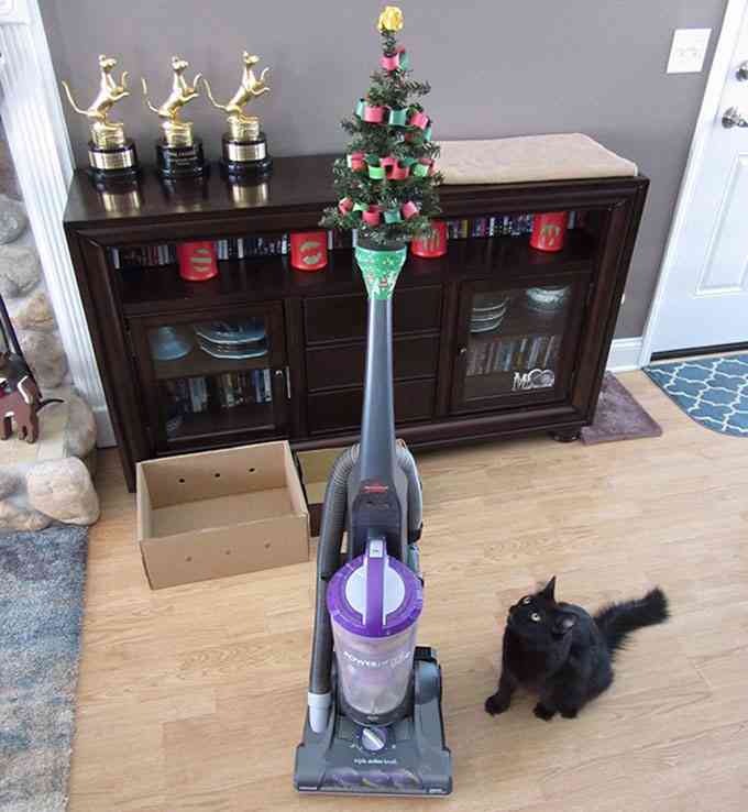 【犬・猫】ペットがいたずらしちゃった画像が見たい【動物・かわいい】