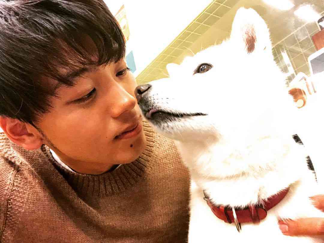 竹内涼真、白戸家おじいちゃん犬と2ショット 「癒しすごい」と大反響