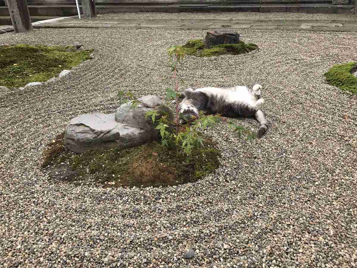 美しい日本語と写真を楽しむトピ
