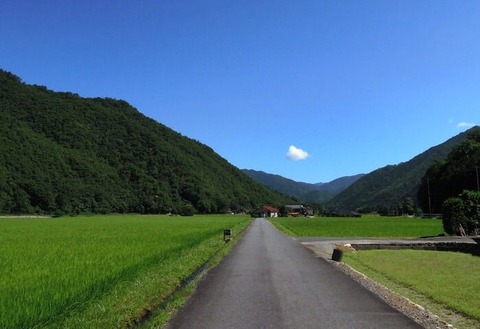 田んぼ、棚田の風景を見るのが好きな方