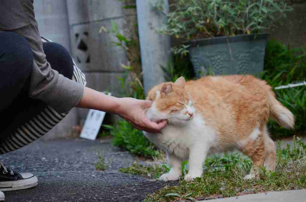 妊娠中、旦那に体を触られるのが嫌