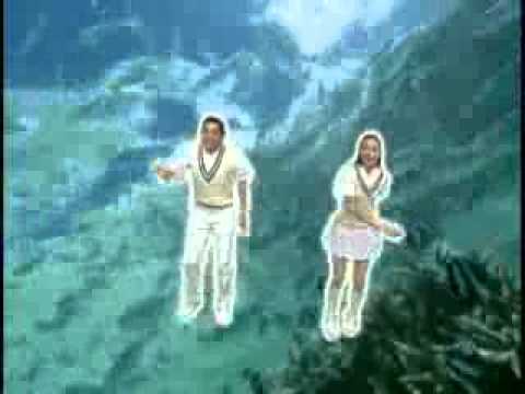 おさかな天国 - YouTube